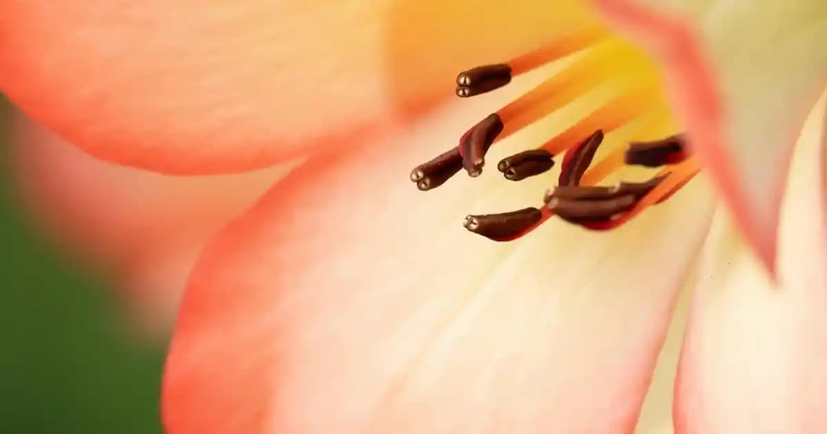 Renkli Güneş Koruyucular: Cilt Koruma ve Makyaj İçin Yenilikçi Çözümler