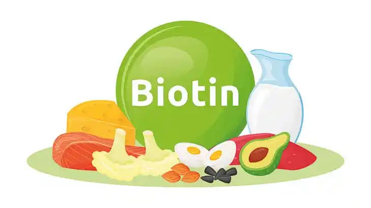 B7 Vitamini (Biotin) Nedir, Nerelerde Bulunur ve Güzellik Üzerindeki Etkileri