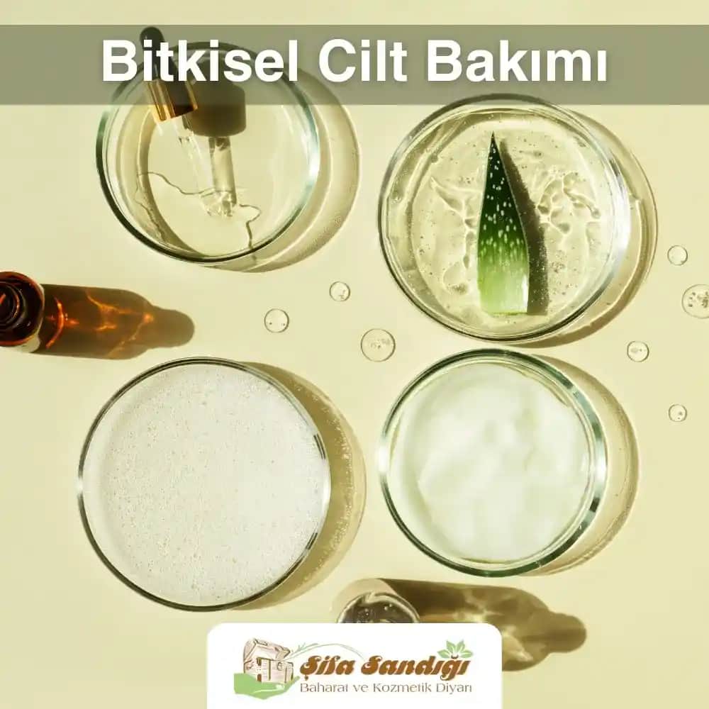 Bitkisel Cilt Bakım Ürünleri Rehberi: Doğanın Gücüyle Güzelliğinizi Keşfedin