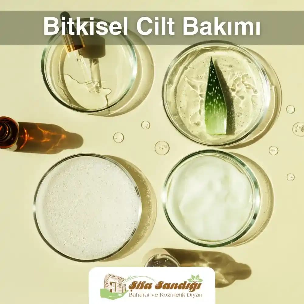 Bitkisel Cilt Bakım Ürünleri Rehberi: Doğanın Gücüyle Güzelliğinizi Keşfedin