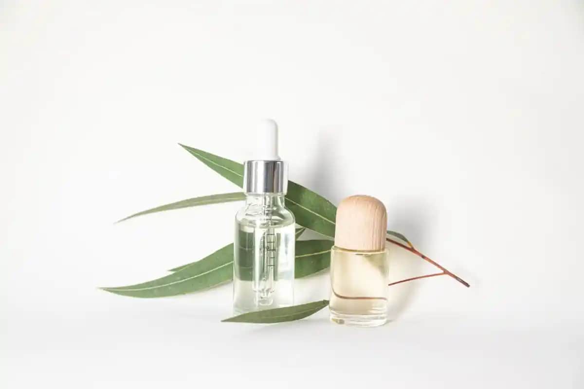 Bitkisel Kozmetik Ürünleri: Doğallığın Gücü ve Sağlıklı Güzellik Sırları