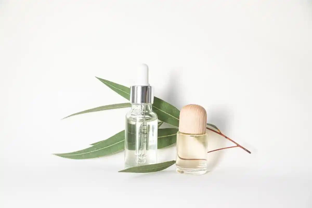 Bitkisel Kozmetik Ürünleri: Doğallığın Gücü ve Sağlıklı Güzellik Sırları