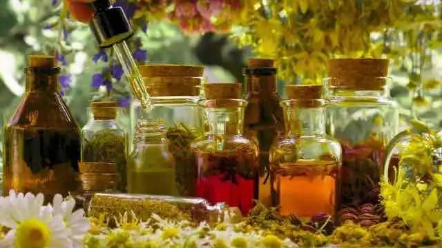 Bitkisel Kozmetik Ürünleri ve Doğal Güzellik İçin Güçlü Alternatifler