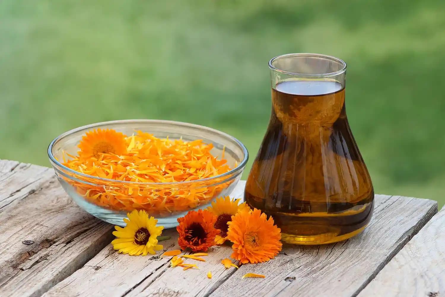 Calendula Officinalis Çiçek Yağı: Faydaları, Kullanım Alanları ve Kozmetik Önemi