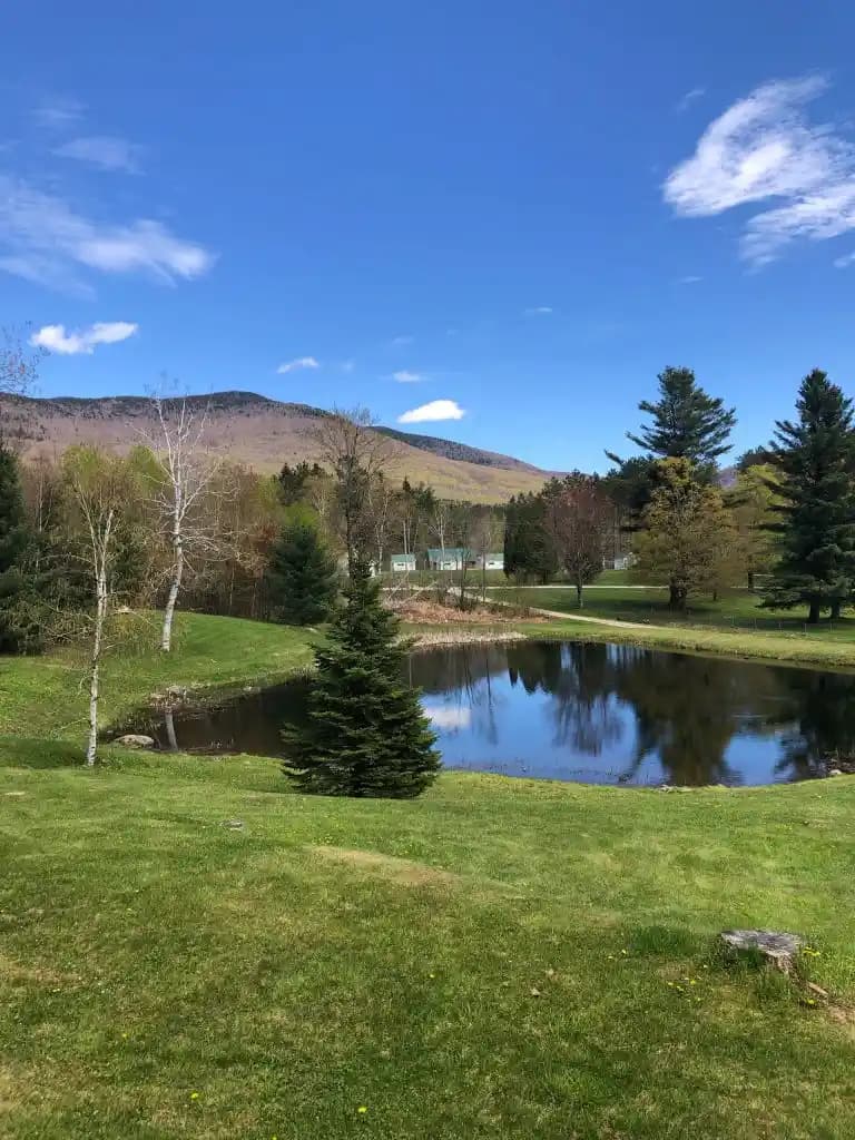 Cam Törpüleri: Dayanıklı, Hassas ve Hijyenik Tırnak Bakımında En İyi Seçenekler