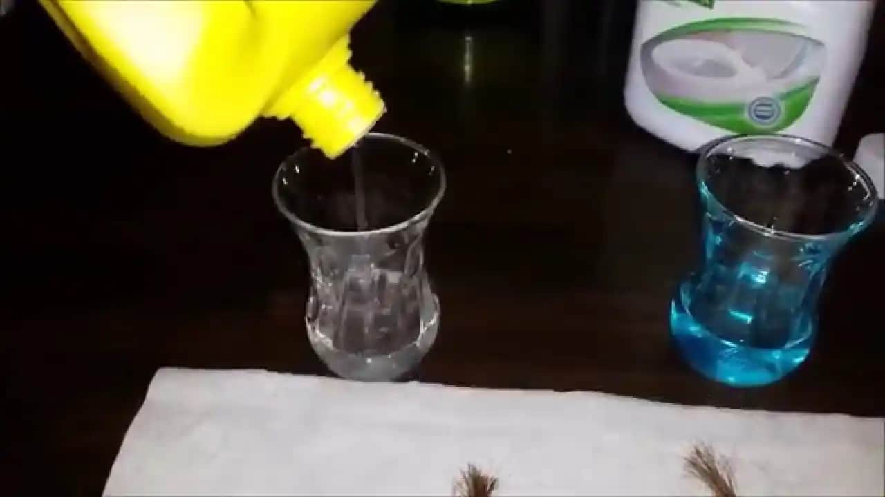 Çamaşır Suyu ile Gebelik Testi: Güvenilirlik ve Sağlık Riskleri Üzerine Bilgilendirici Rehber