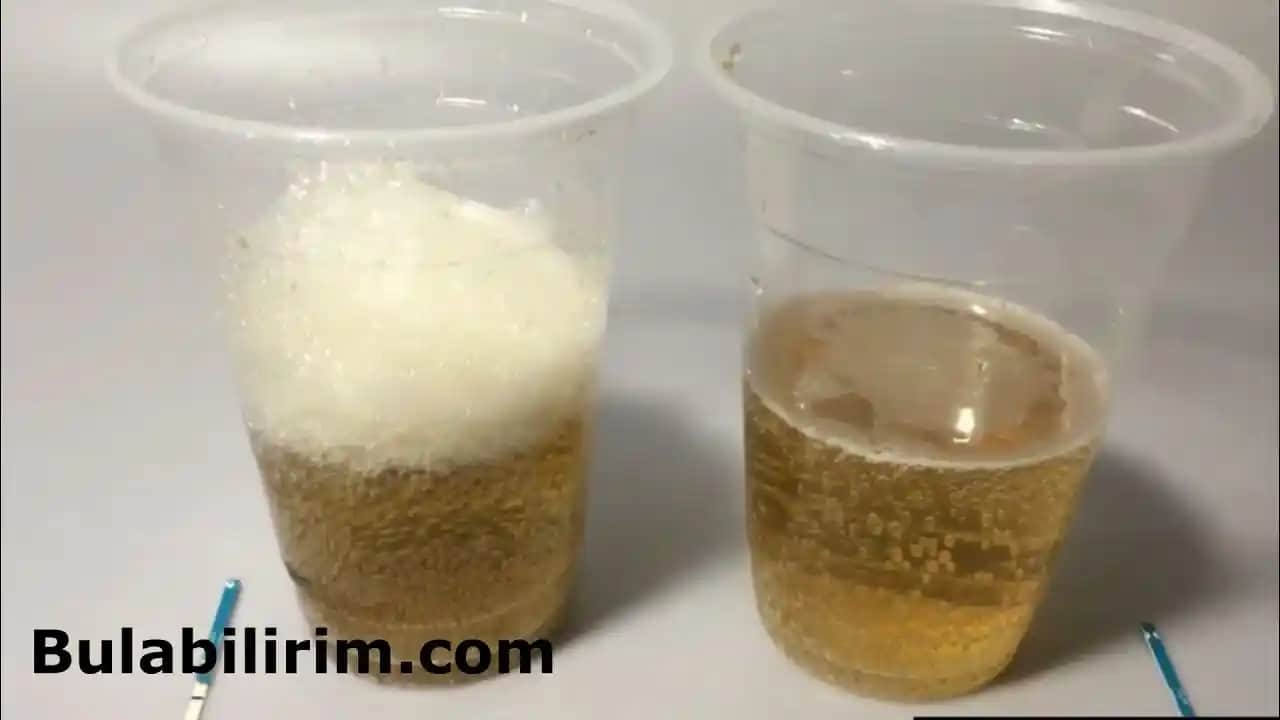 Çamaşır Suyu ile Hamilelik Testi: Güvenilirlik ve Sağlık Riskleri Hakkında Bilmeniz Gerekenler