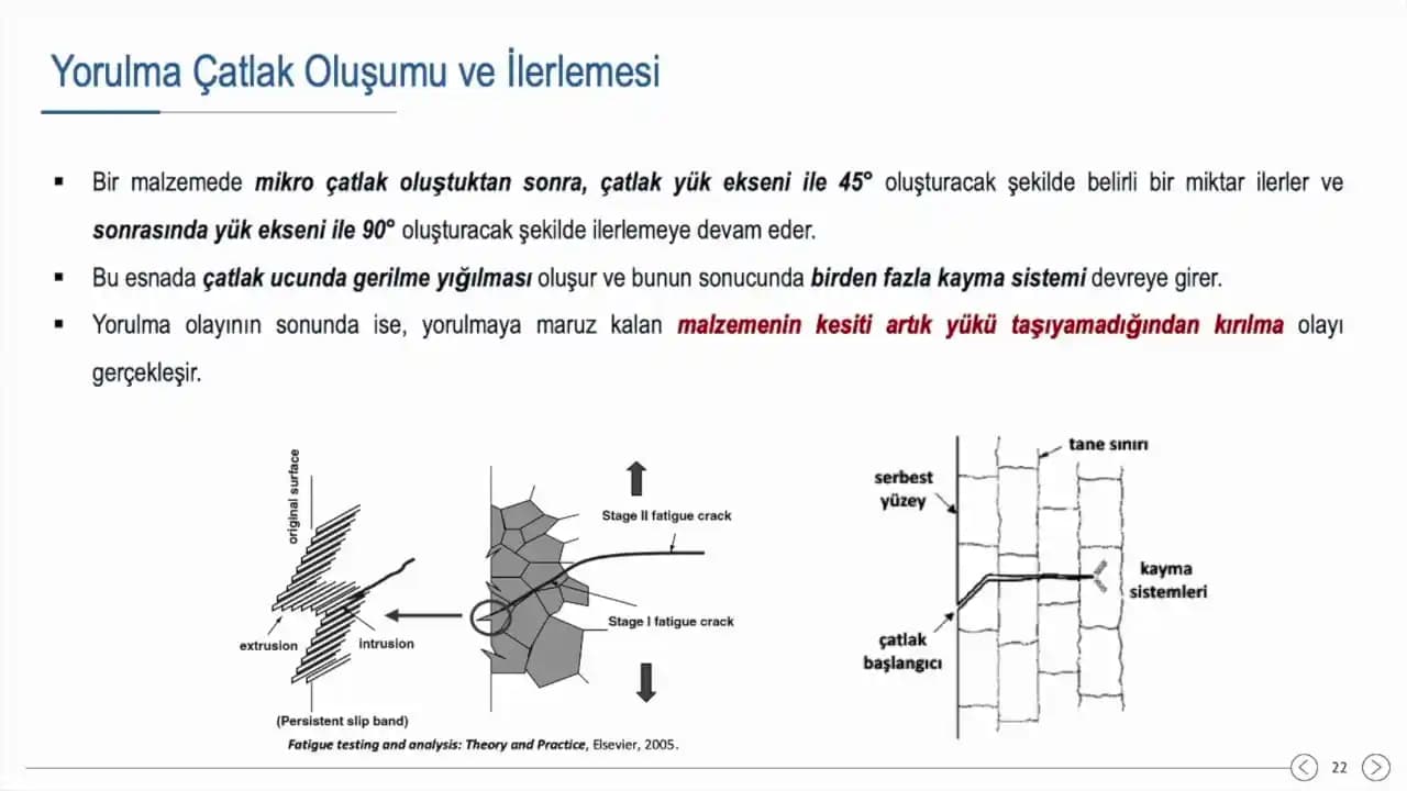 Ciltte Çatlak Oluşumu Nedenleri, Önlenmesi ve Etkili Tedavi Yöntemleri