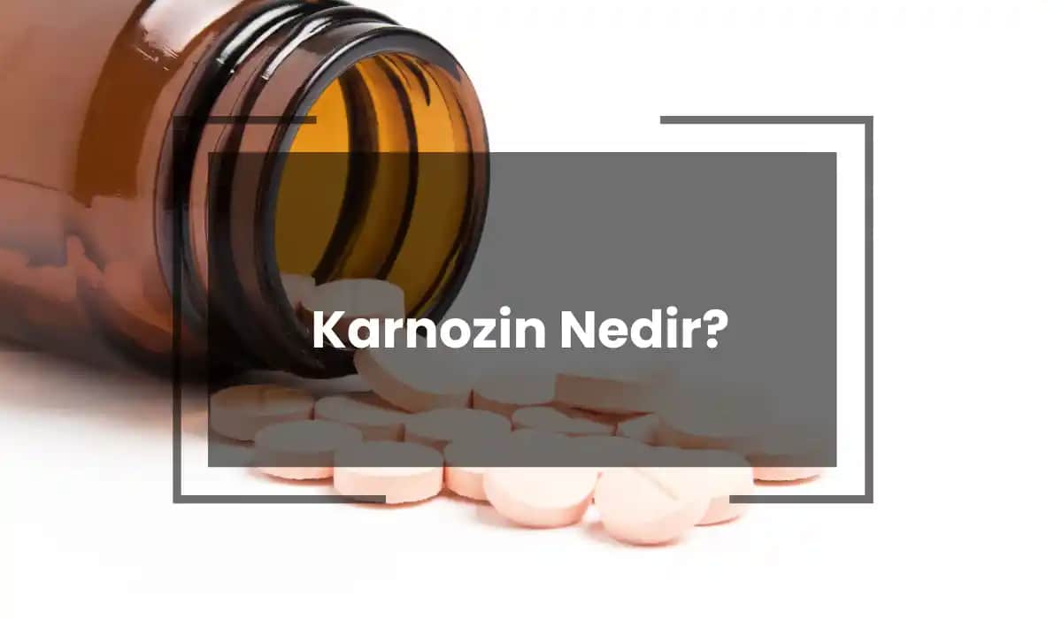 Çinko L-Karnosin ile Cilt Sağlığı ve Bağışıklık Güçlendirme Yöntemleri