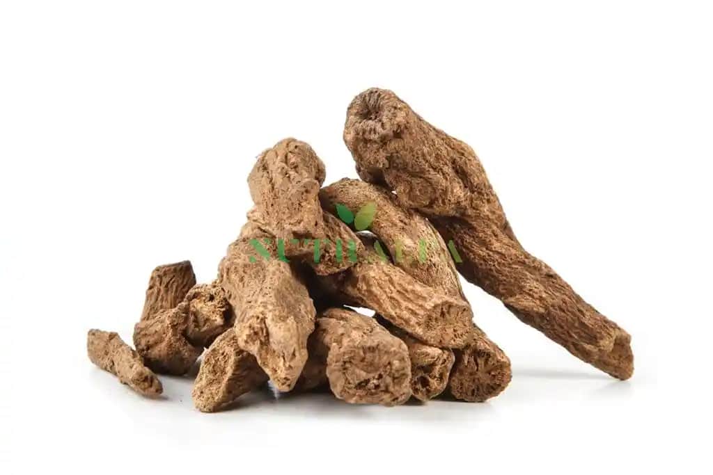 Costus Kökü Nedir ve Kozmetik Alanındaki Kullanım Fırsatları