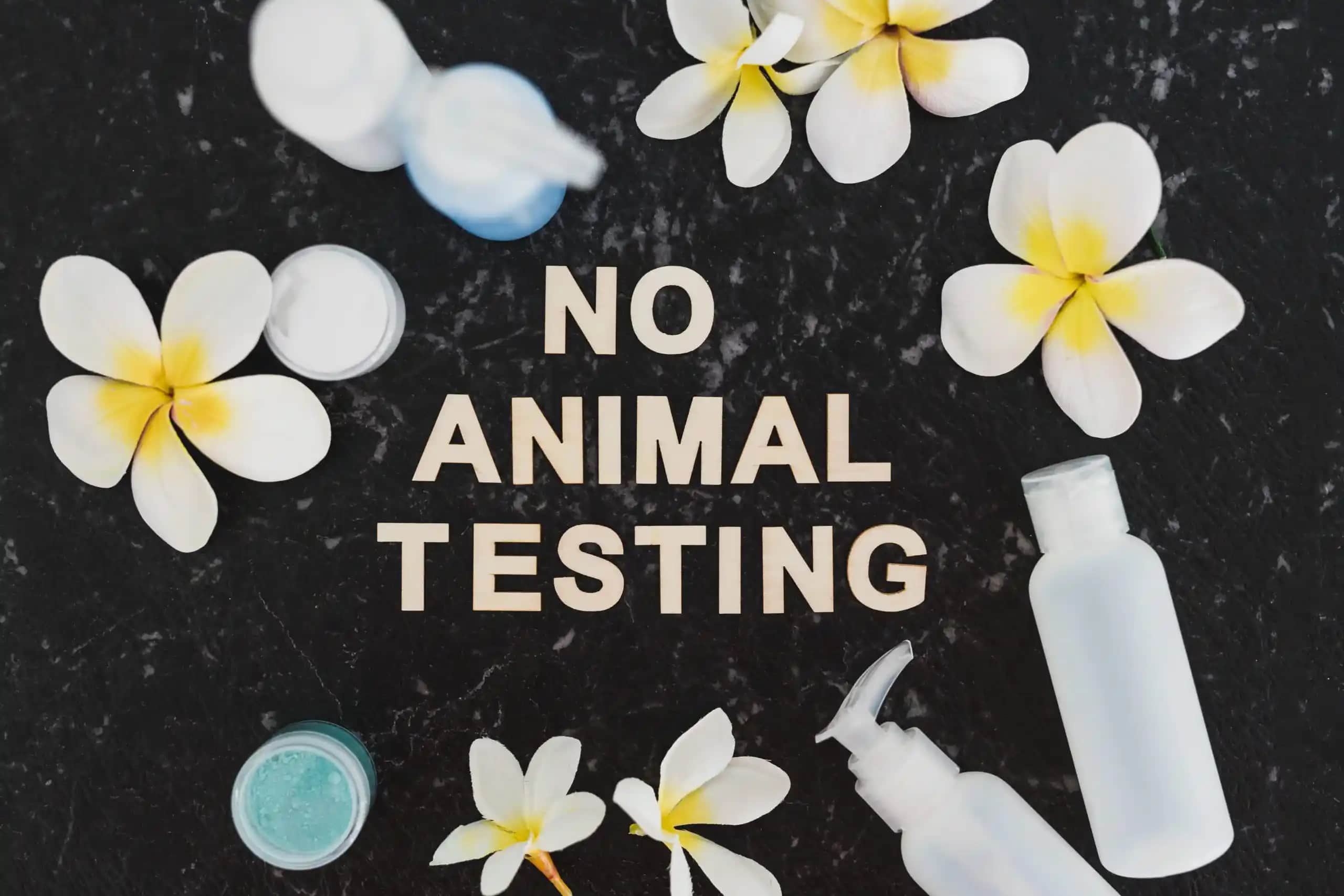 Cruelty-Free Nedir ve Kozmetik Sektöründe Önemi Hakkında Kapsamlı Bilgi