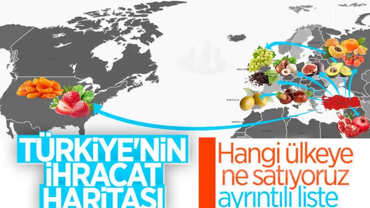 Darphin Hangi Ülkenin Kozmetik Markası ve Fransız Kalitesi Özellikleri