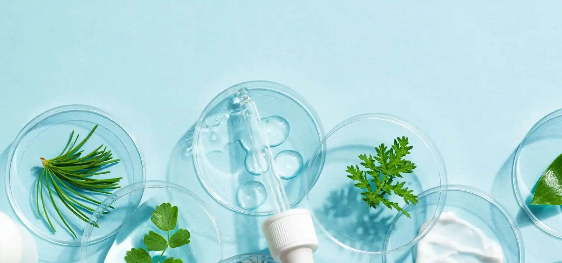 Doğal Cilt Gençleştirme Maskeleri ile Sağlıklı ve Genç Görünüm Elde Edin