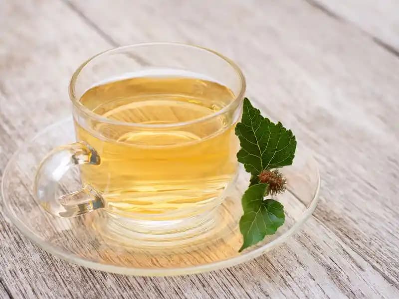 Dut Kurusu Çayının Sağlık ve Güzellik Üzerindeki Faydaları ve Kullanım Yöntemleri