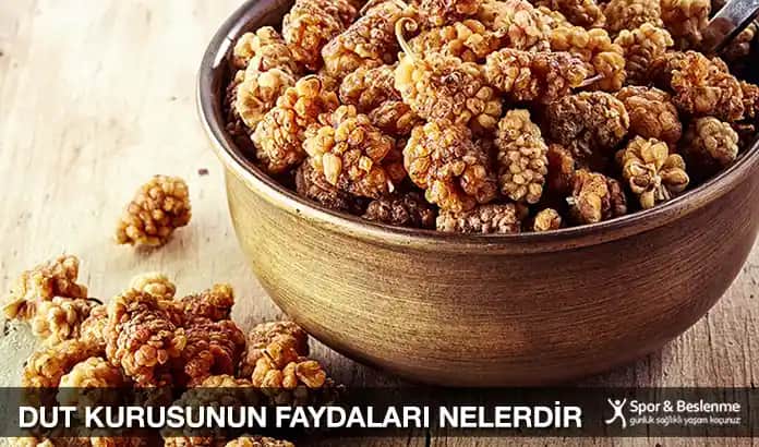 Dut Kurusunun Faydaları ve Sağlığa Katkıları: Doğal Bir Sağlık Kaynağı