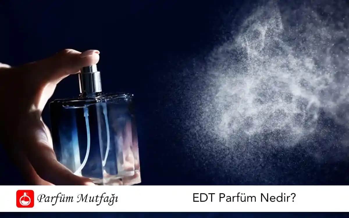 EDT Nedir Parfüm Dünyasında Hafiflik ve Kalıcılığın Sırları Hakkında Kapsamlı Bilgi