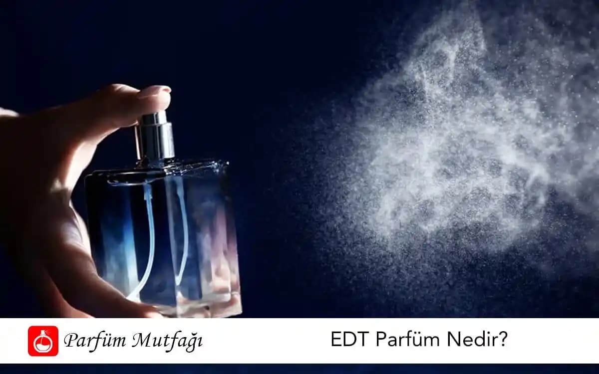 EDT Nedir Parfüm Dünyasında Hafiflik ve Kalıcılığın Sırları Hakkında Kapsamlı Bilgi