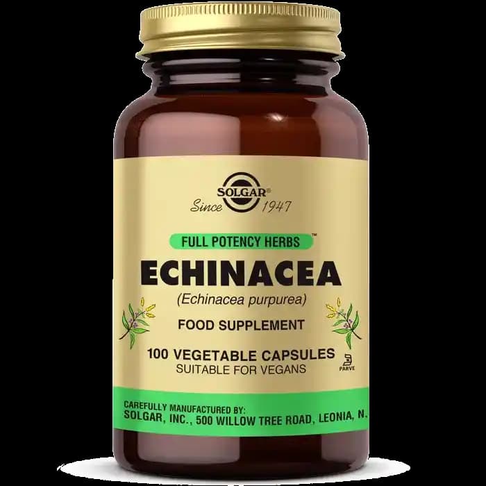 Ekinezya ve Solgar: Doğal Bitkisel Takviyelerde Sağlık ve Güzellik İnovasyonu