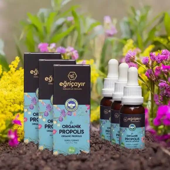 En Güvenilir Propolis Markaları ve Doğal Sağlık Kaynakları Hakkında Kapsamlı Rehber