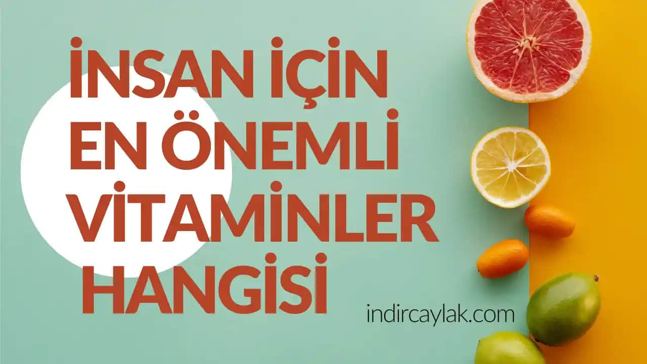En Önemli Vitaminler ve Kozmetik Üzerindeki Etkileri Güzelliği Destekleyen Vitaminler ve Faydaları