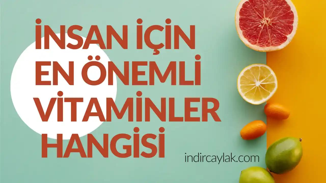 En Önemli Vitaminler ve Kozmetik Üzerindeki Etkileri Güzelliği Destekleyen Vitaminler ve Faydaları