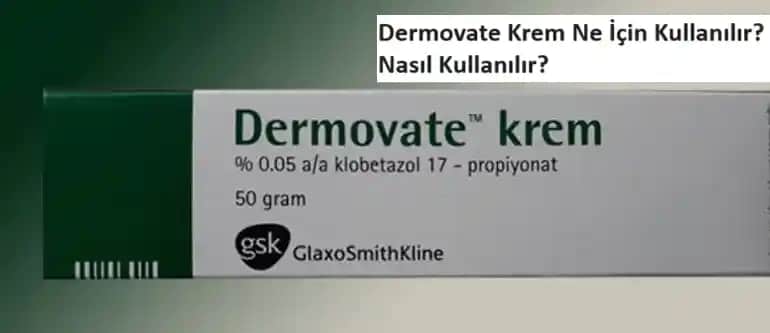 Ericaden Nedir ve Sağlık ile Güzellik Üzerindeki Faydaları Nelerdir