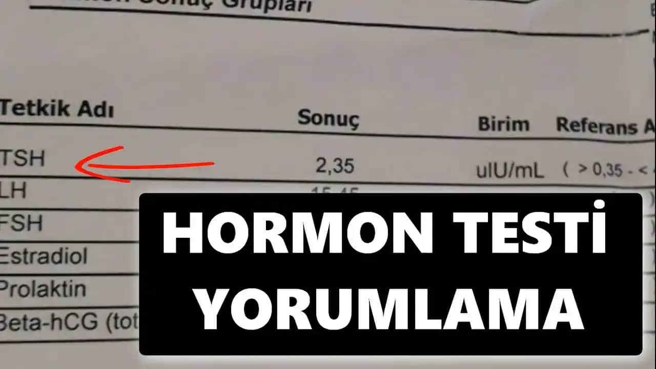 Erkeklerde Hormon Testleri: Sağlık ve Estetik Açısından Önemi ve Uygulama Yöntemleri