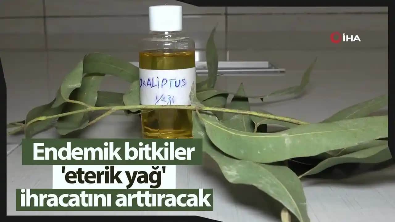 Eterik Yağların Tanımı, Üretimi ve Kozmetik Kullanım Faydaları Hakkında Kapsamlı Bilgi