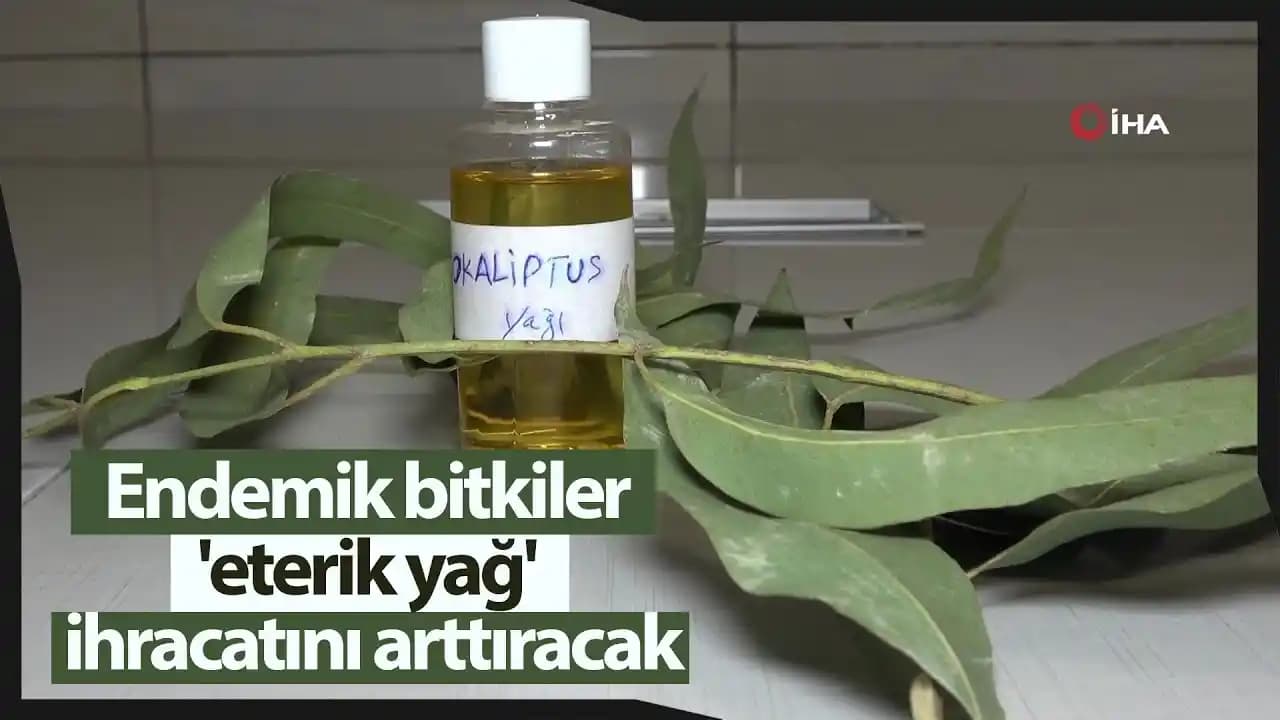 Eterik Yağların Tanımı, Üretimi ve Kozmetik Kullanım Faydaları Hakkında Kapsamlı Bilgi