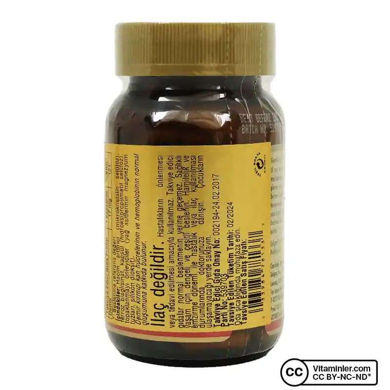 Gentle Iron 17 mg Demir Takviyesi: Sağlıklı İçsel ve Dışsal Görünüm İçin Güvenilir Çözüm