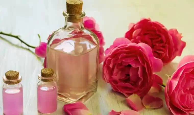 Gül Mayası Nedir ve Cilt Sağlığına Faydaları Nelerdir