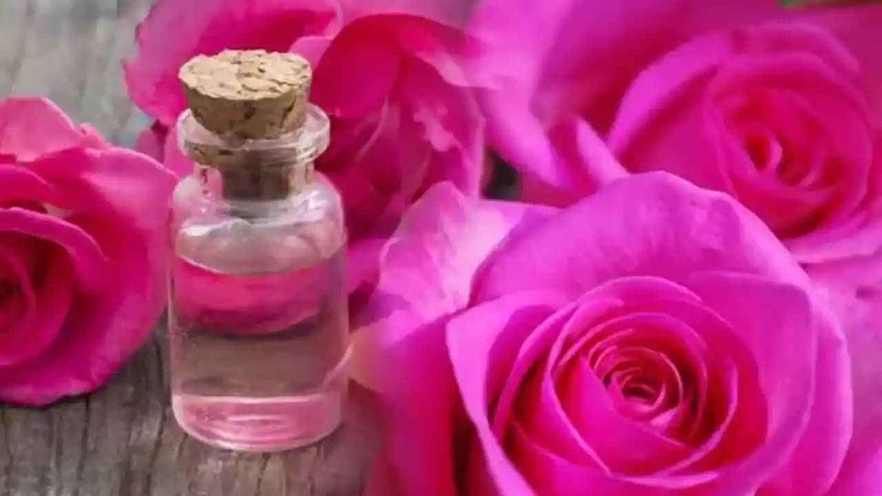 Gül Suyu Kullanımı ve Faydaları: Doğal Güzellik İçin Güçlü Bir Kaynak