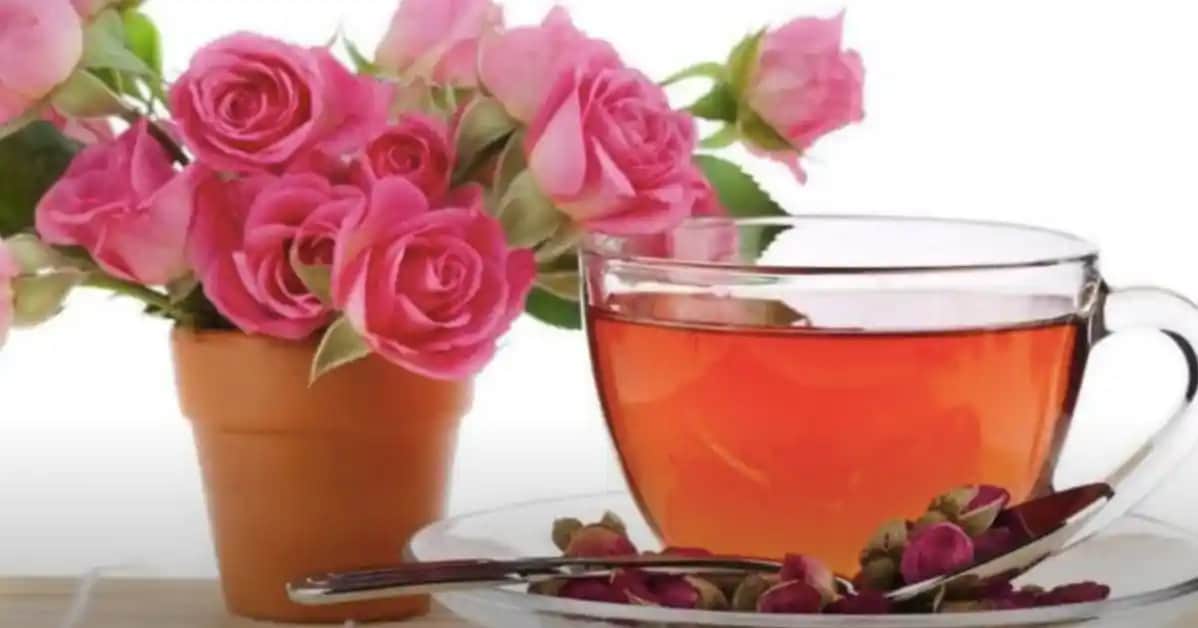 Gül Suyunun Cilt Sağlığına Faydaları ve Kullanım Alanları Analizi