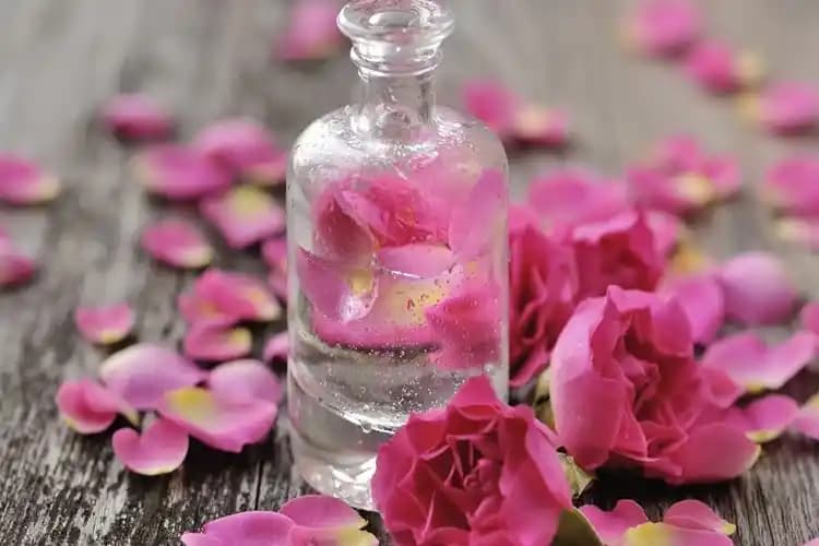 Gül Suyunun Yüz ve Cilt Sağlığına Etkileri ve Doğal Kullanım Yöntemleri