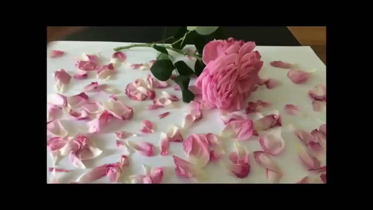 Gül Yaprağı Faydalari: Doğal Güzellik ve Sağlık İçin Çok Yönlü Kullanım Rehberi