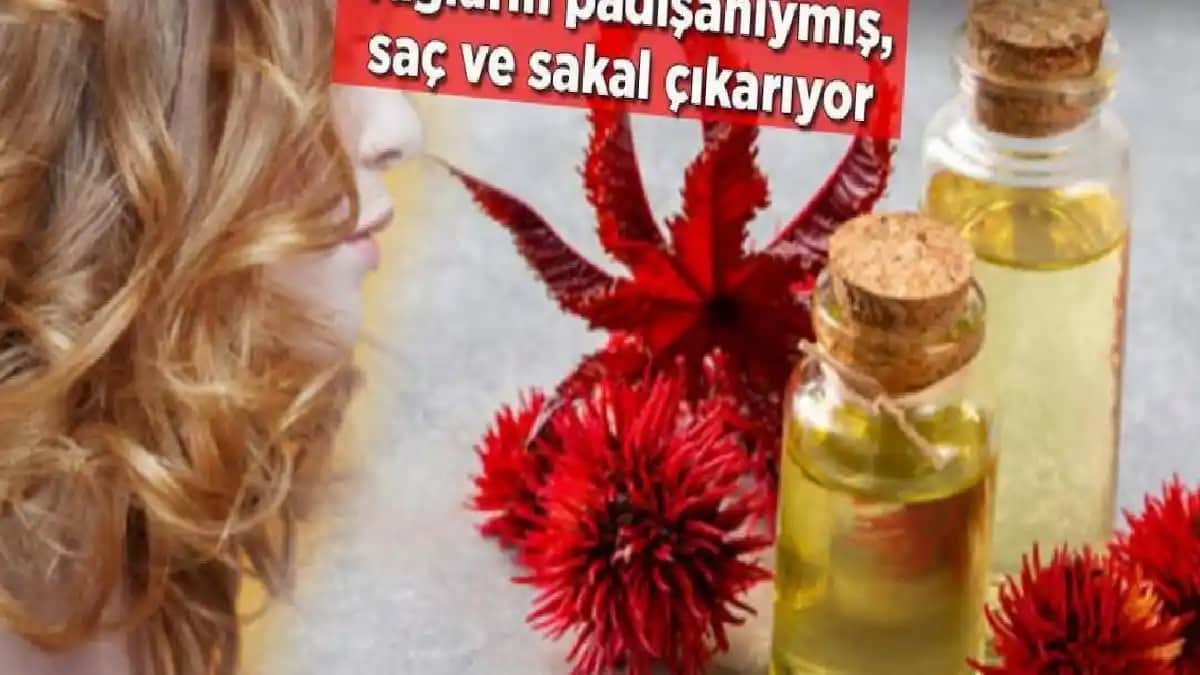 Hint Yağı ve Sakal Bakımında Etkileri: Doğal Bir Çözüm mü