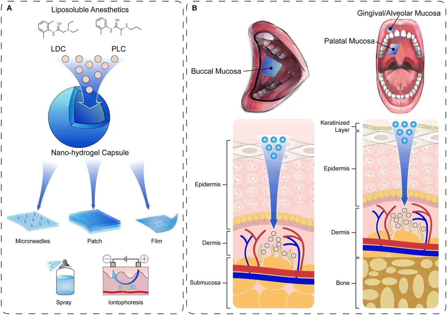 Hydro Jel Nedir ve Cilt Bakımında Kullanım Fırsatları