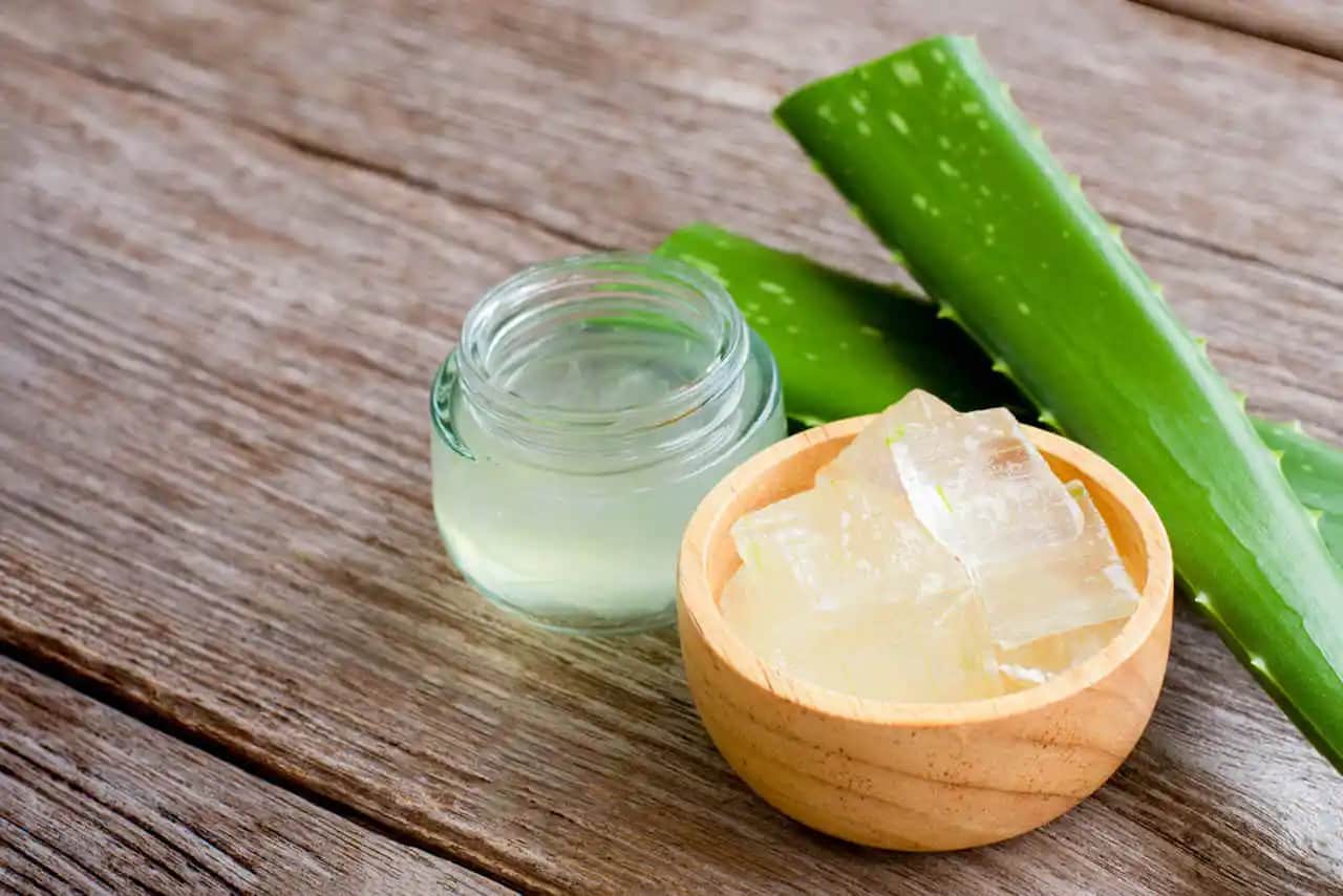 İçinde Jel Olan Bitkiler ve Kozmetik Uygulamaları: Aloe Vera ve Diğer Şifalı Bitkiler