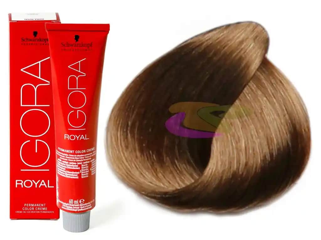 IGORA 6: Kalıcı ve Güçlü Renk Çözümleriyle Saç Boyama Deneyimini Yükseltin