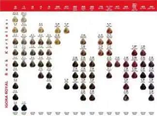 Igora Royal Renk Kataloğu: Profesyonel Saç Renklerinde Geniş Seçenekler ve Yüksek Kalite