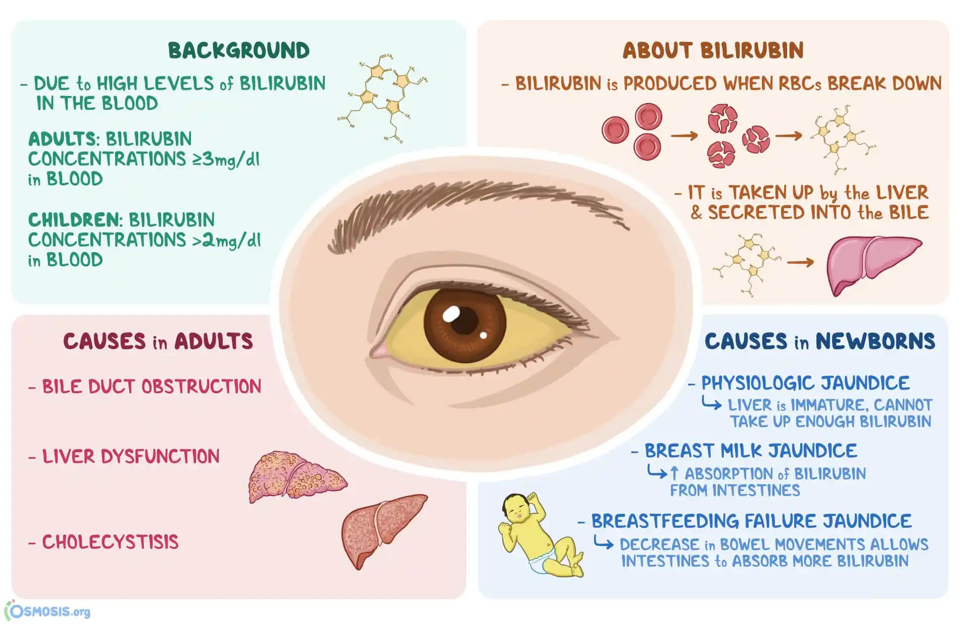 İltirus Nedir, Neden Olur ve Kozmetik Yaklaşımlarla Cilt Sararması Nasıl Giderilir