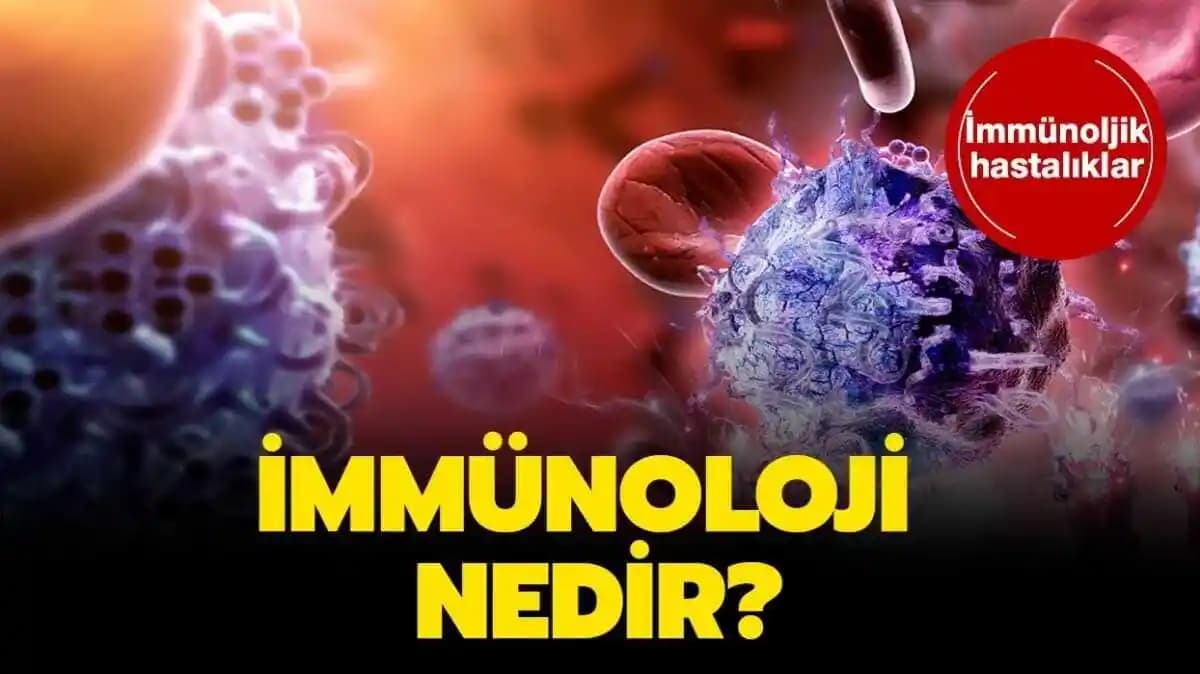 İmmun Kavramı ve Kozmetik Sektöründe Bağışıklık ile Sağlık İlişkisi Analizi