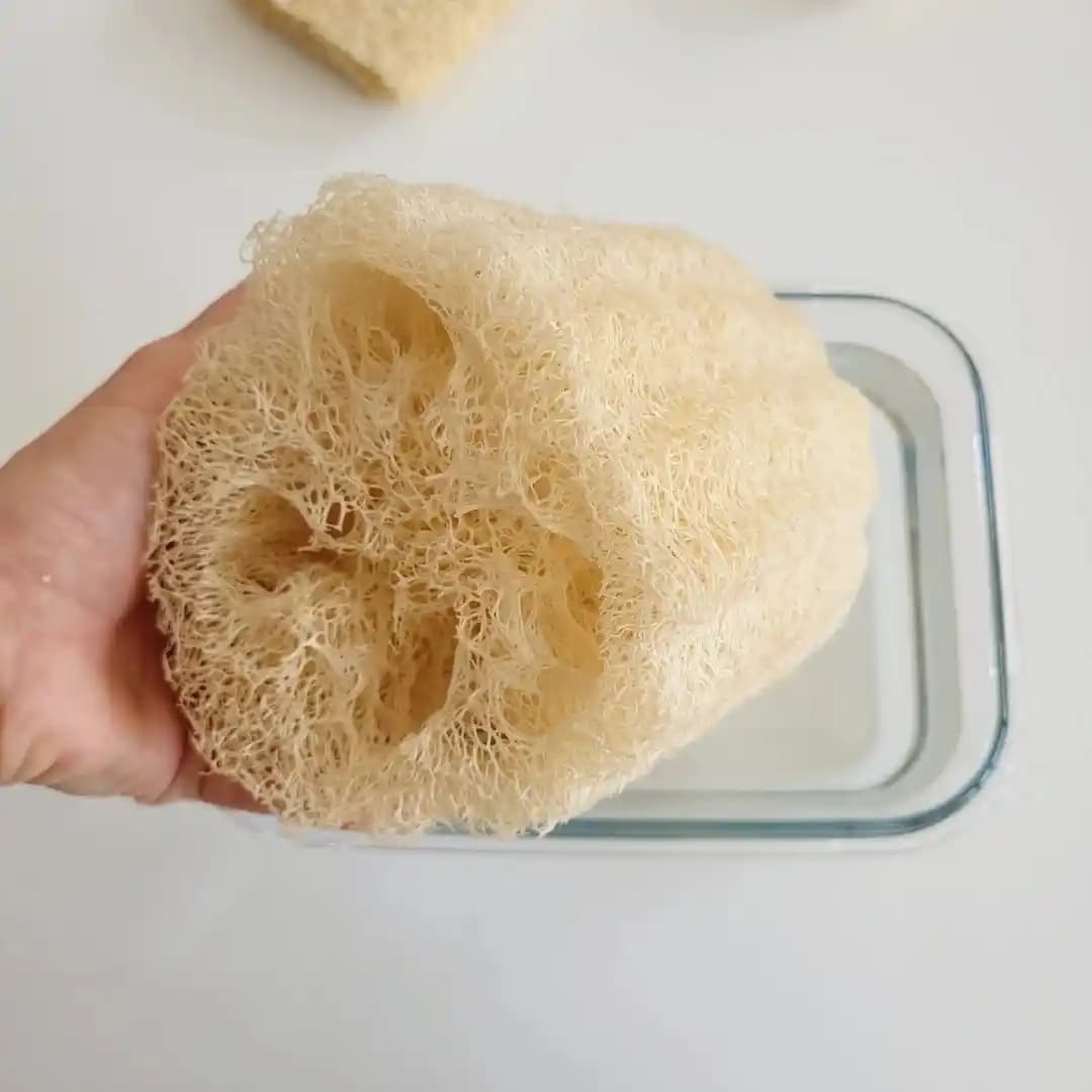 Kabak Lifi Temizliği ve Bakımı Hakkında Detaylı Rehber