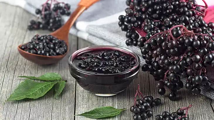 Kara Mürver Ekstresi: Doğal Kozmetik Ürünlerinde Cilt Sağlığı ve Güzellik İçin Kullanımı