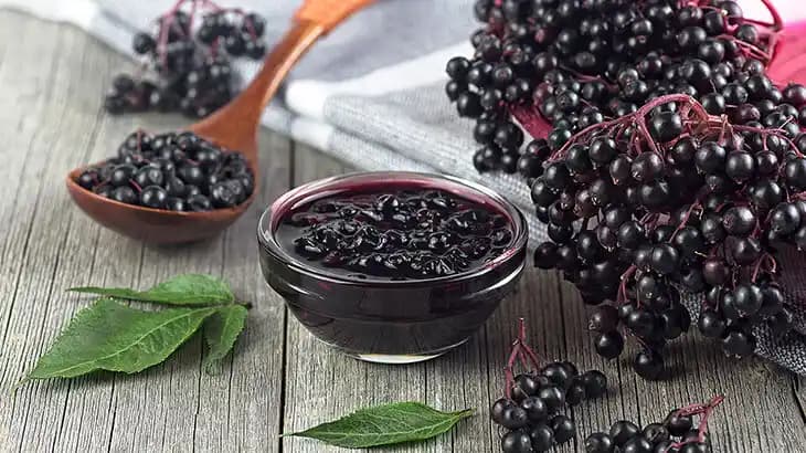 Kara Mürver Ekstresi: Doğal Kozmetik Ürünlerinde Cilt Sağlığı ve Güzellik İçin Kullanımı