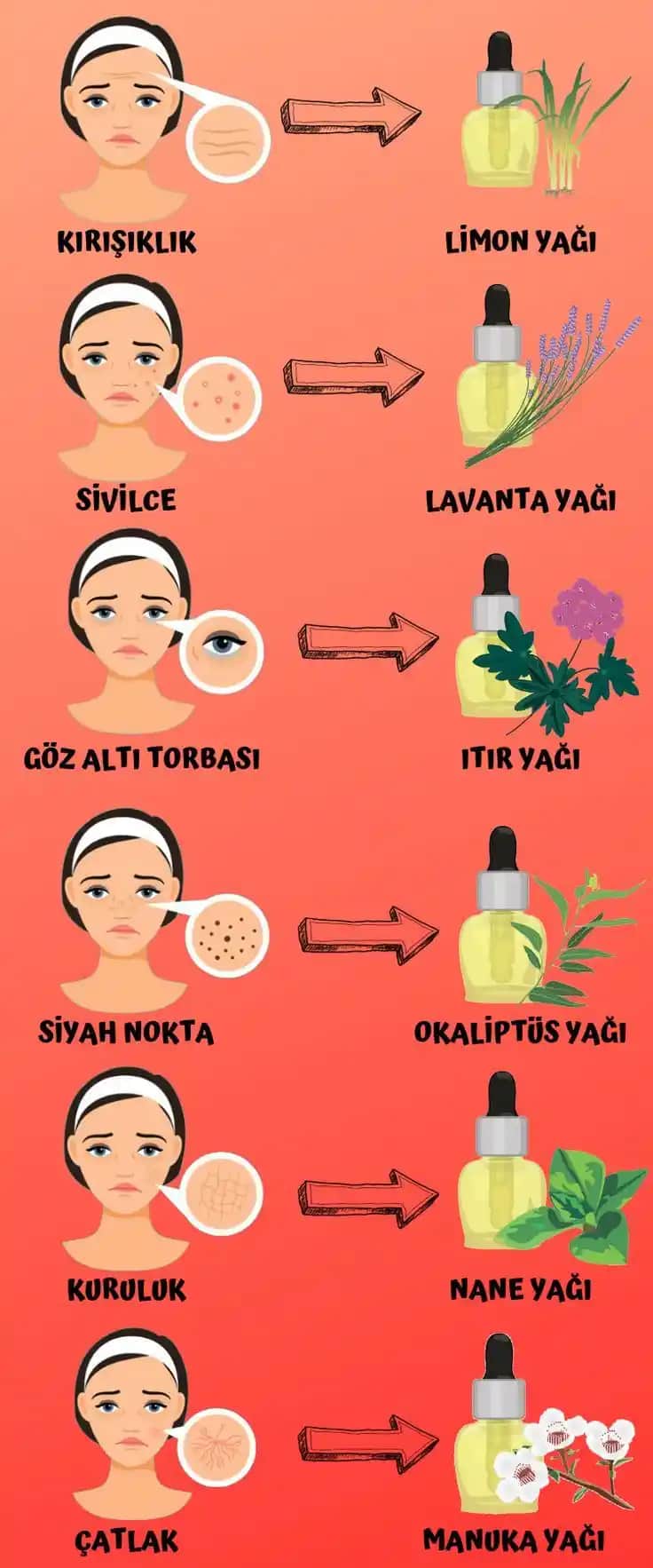 Kaş Bakımında En Etkili Doğal Yağlar ve Uygulama Yöntemleri