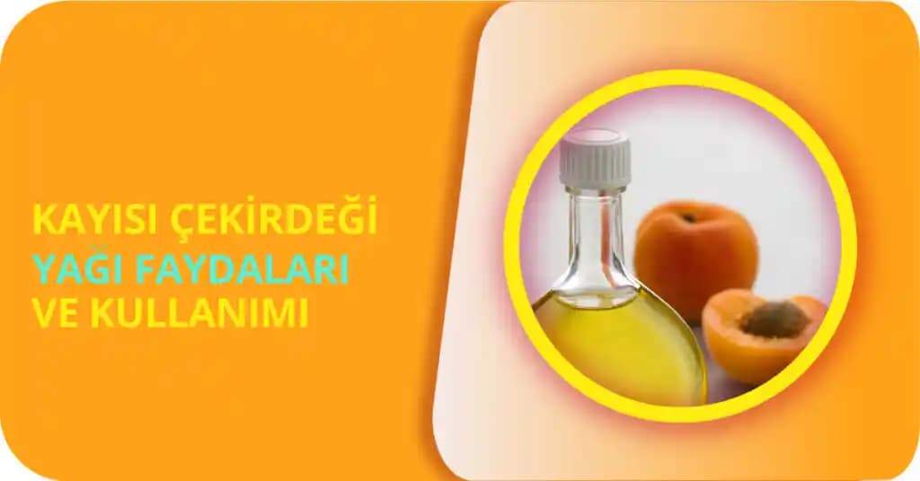 Kayısı Çekirdeği Yağı Kullanımı ve Faydaları: Doğal Güzellik Sırları