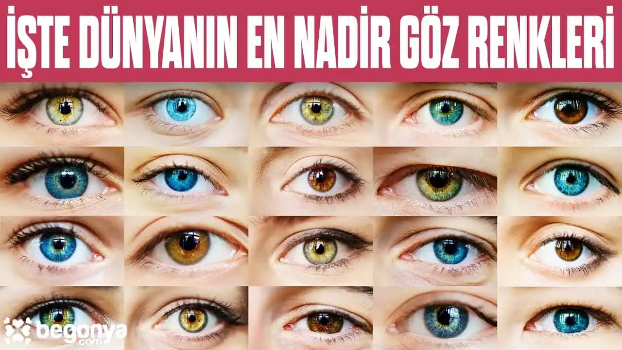 Kestane Göz Rengi: Doğal Güzelliğin Sıcak ve Çekici Yansıması