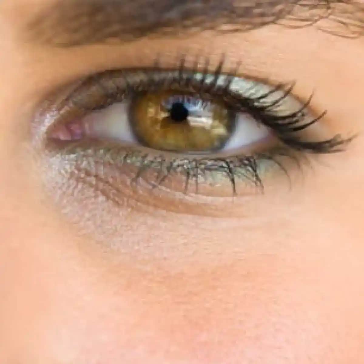 Kestane Göz Rengi Hakkında Detaylı Rehber: Özellikler, Uyum ve Makyaj İpuçları