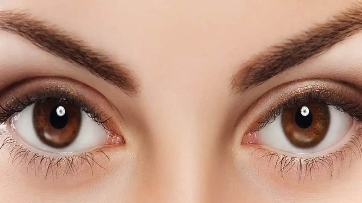 Kestane Kahve Göz Rengi: Doğal Güzelliği Vurgulayan Makya ve Saç Renkleri Rehberi